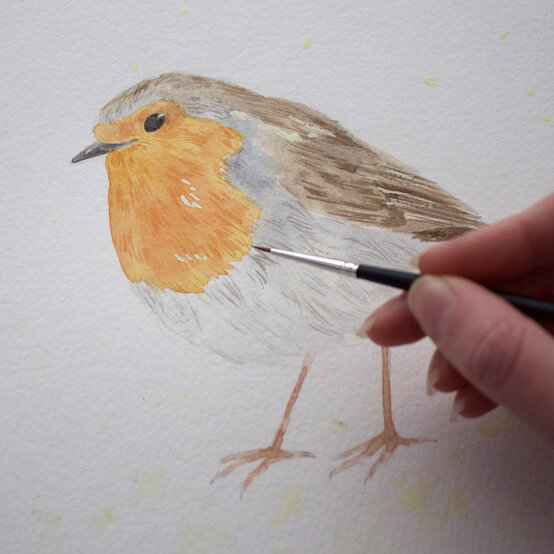 paint_a_watercolour_robin_painting_step_8_1.jpg?sw=554&q=85