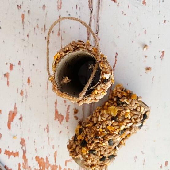 how_to_make_a_bird_feeder_5.jpg?sw=554&q=85