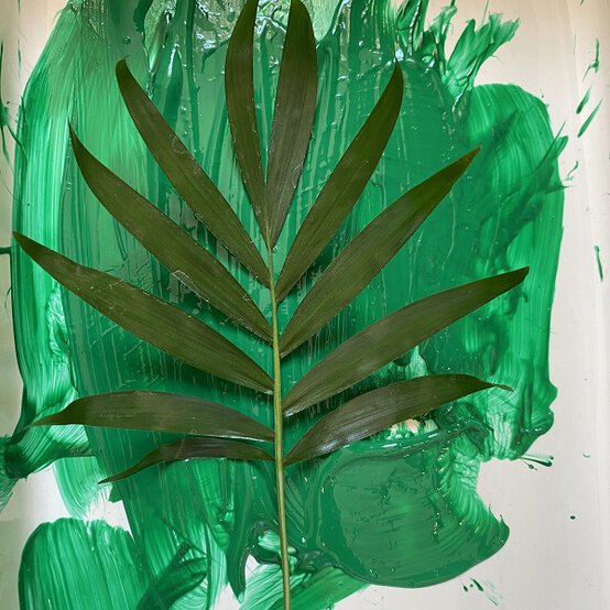 how_to_print_with_plants_step3.jpg?sw=554&q=85