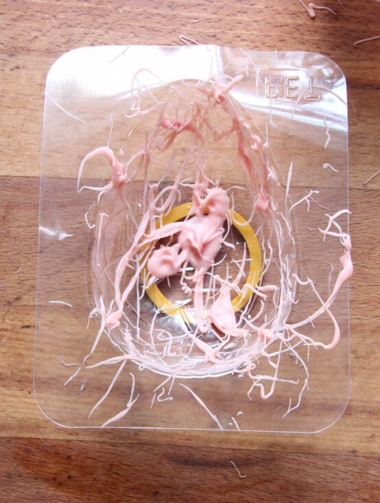 img_5243-v2-773x1024.jpg?sw=554&q=85