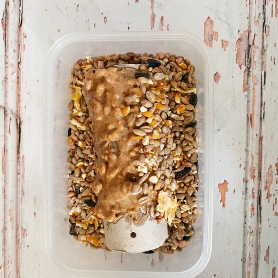 how_to_make_a_bird_feeder_4a.jpg?sw=554&q=85