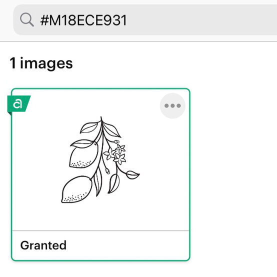 Step%202e.jpg?sw=554&q=85