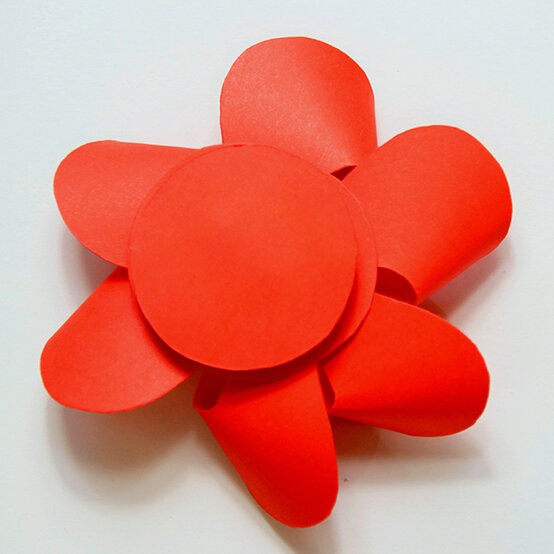 poppy_step8-600-x-600.jpg?sw=554&q=85