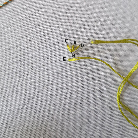 fern-stitch-4.jpg?sw=554&q=85