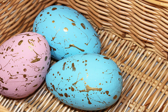 img_2996-edit.jpg?sw=554&q=85