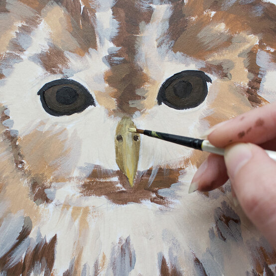 how_to_paint_acrylic_owl_eyes_beak_5.1-1000-pixels.jpg?sw=554&q=85