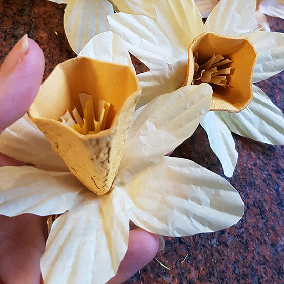 egg_box_cupcakes_8.jpg?sw=554&q=85