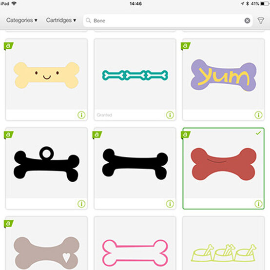 pet-stocking-6.jpg?sw=554&q=85