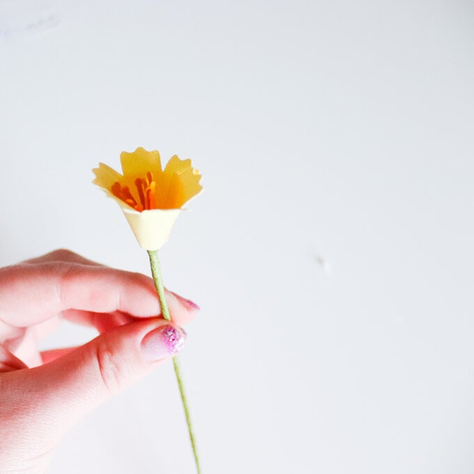 cricut-5-flowers-daffodil-step-3.jpg?sw=680&q=85