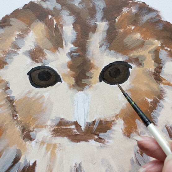 how_to_paint_acrylic_owl_eyes_beak_5-1000-pixels.1.jpg?sw=554&q=85