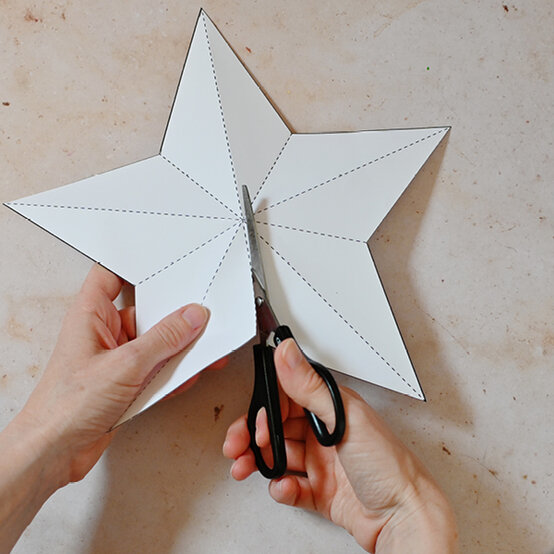 Idea_sustainable-tree-decorations-to-make_step4b.jpg?sw=554&q=85