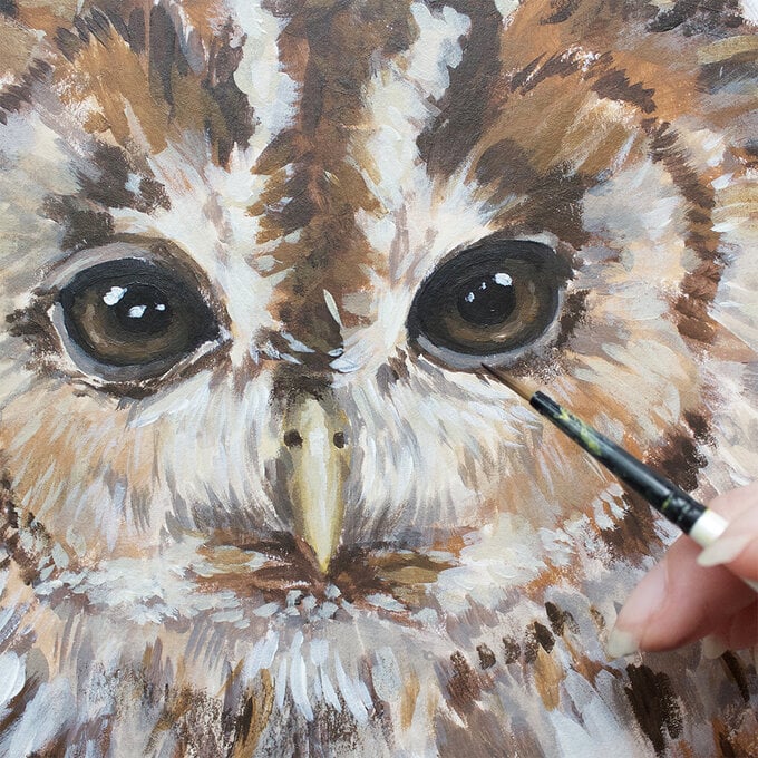 how_to_paint_acrylic_owl_close_up_finished_make-1000-pixels.jpg?sw=680&q=85