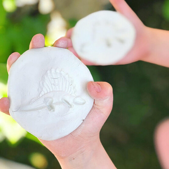 air-dry-clay-fossils-step6.jpg?sw=554&q=85