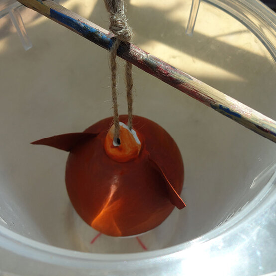 fox%2D3.jpg?sw=554&q=85