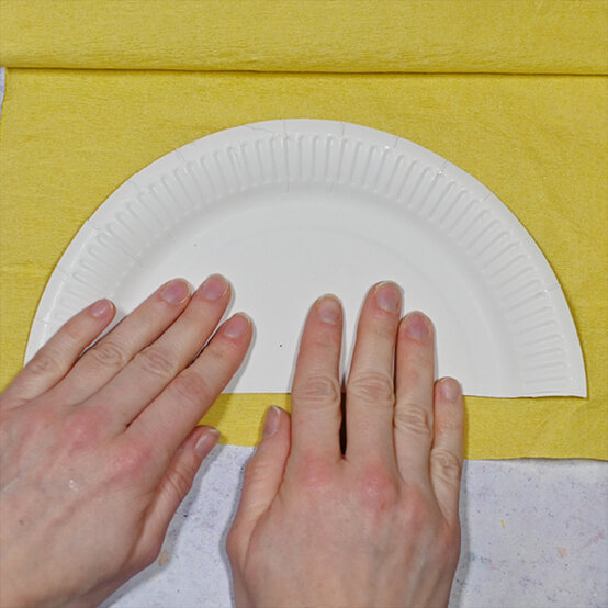 paper-plate-birds-3b.jpg?sw=554&q=85