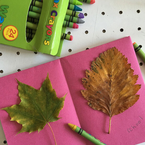 idea_fun-outdoor-activities-for-kids_leafs.jpg?sw=554&q=85