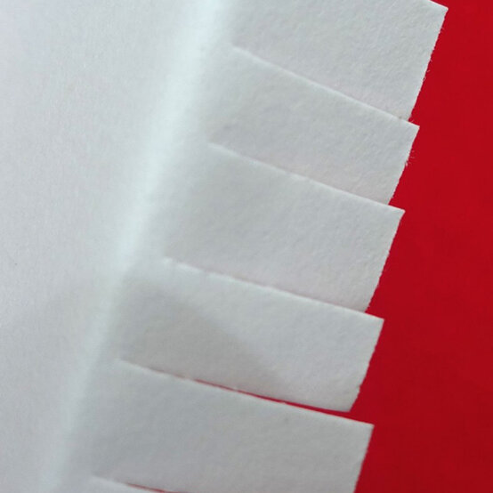 fox%2D2.jpg?sw=554&q=85