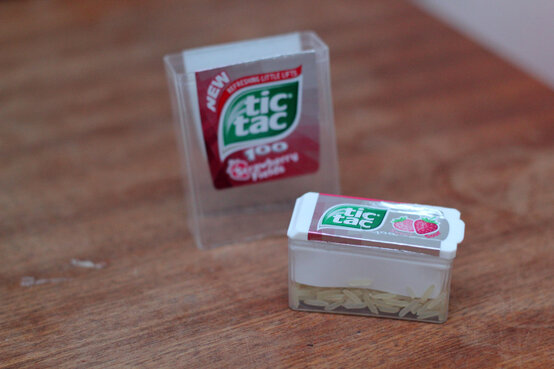 seahorse-6.jpg?sw=554&q=85