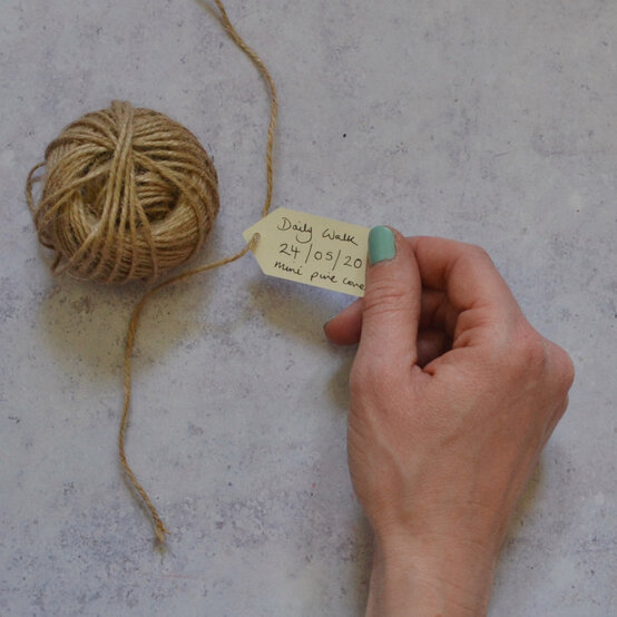 botanical-jars5.jpg?sw=554&q=85