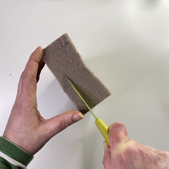 Fillable%20Letter_Step2.jpg?sw=554&q=85