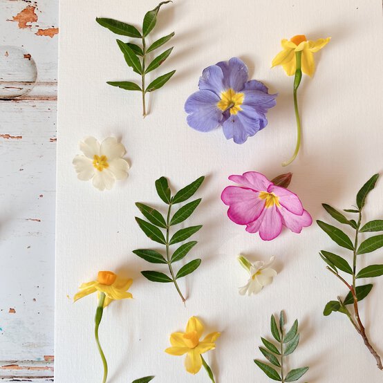 how_to_make_pressed_flower_art_2.jpg?sw=554&q=85