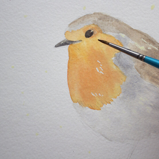 paint_a_watercolour_robin_painting_step_6.jpg?sw=554&q=85