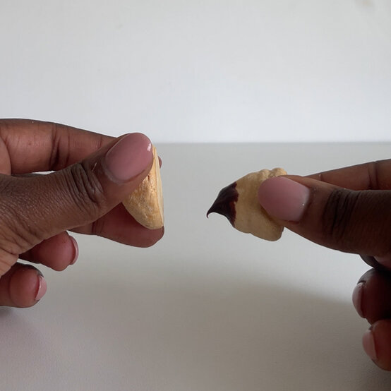 idea_christmas-botanical-yule-log_step3a.jpg?sw=554&q=85