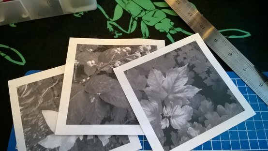 wp_20150605_20_21_09_pro.jpg?sw=554&q=85