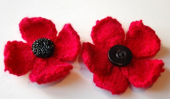 kp-poppies.jpg?sw=554&q=85