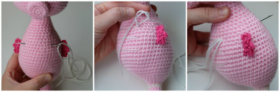 seahorse-6.jpg?sw=554&q=85