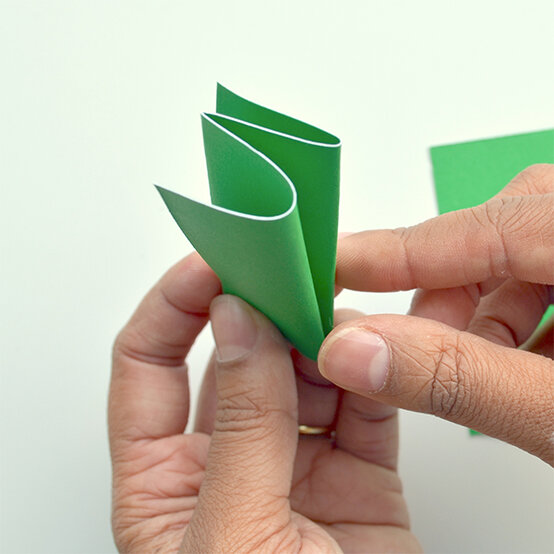 Palm1a.jpg?sw=554&q=85