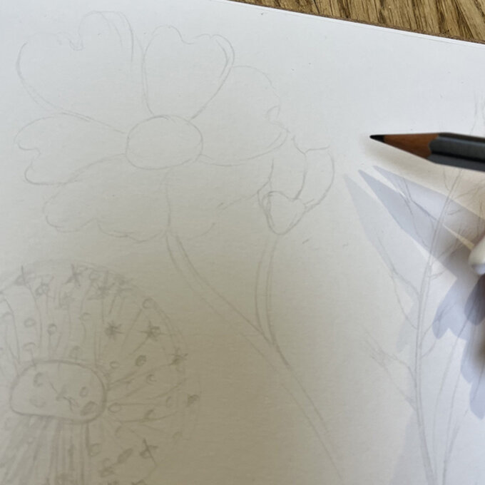 idea_how-to-draw-botanical-illustrations-dogrose_step2.jpg?sw=680&q=85