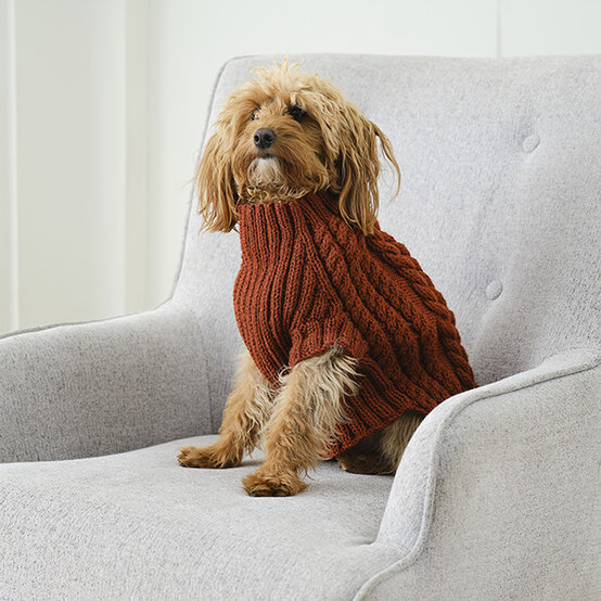How to Knit an Autumn Dog Coat Hobbycraft