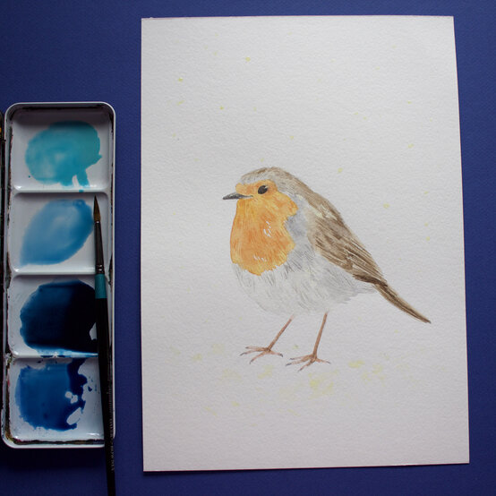 paint_a_watercolour_robin_painting_step_9.jpg?sw=554&q=85