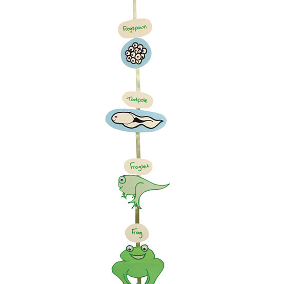 frog-lanyard.jpg?sw=554&q=85