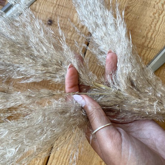 floral-topped-signs-4.jpg?sw=554&q=85