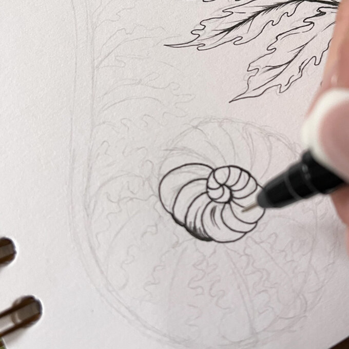 idea_how-to-draw-botanical-illustrations-fern2_step4c.jpg?sw=680&q=85