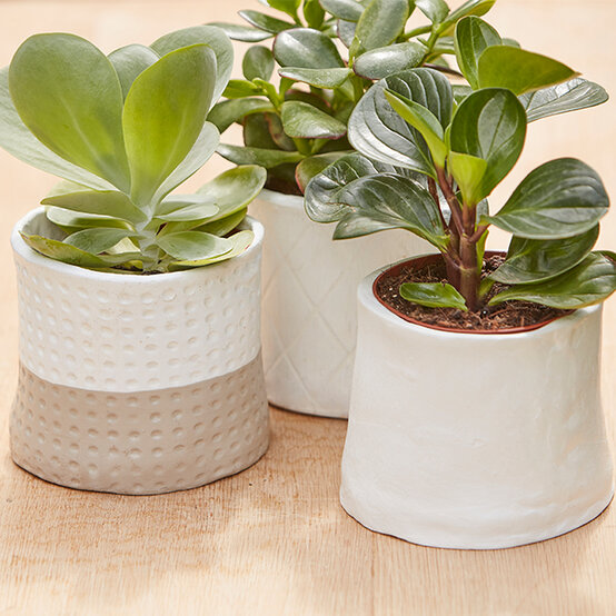 air-dry-clay-planter.jpg?sw=554&q=85