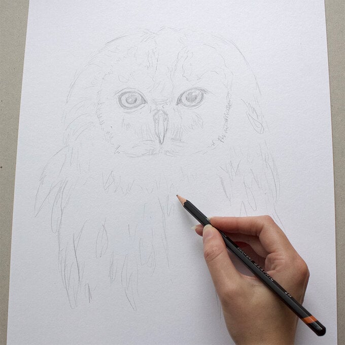 how_to_paint_acrylic_owl_drawing_1-1000-pixels.jpg?sw=680&q=85