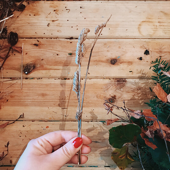 fresh-foraged-autumnal-wreath-5b.jpg?sw=554&q=85