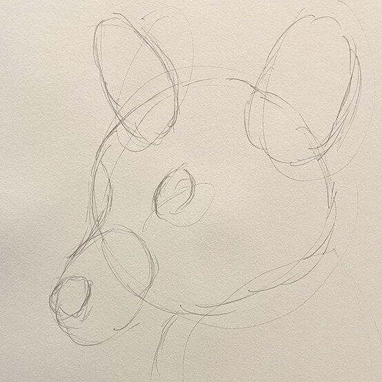 how%2Dto%2Dsketch%2Da%2Dfox%5Fstep%2D1a.jpg?sw=554&q=85