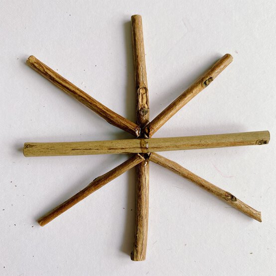 how_to_make_natural_decorations_step_2.jpg?sw=554&q=85