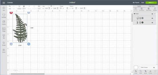 succulent-wreath-5.jpg?sw=554&q=85