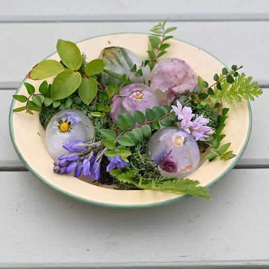 botanical-eggs_ice-play-ideas.jpg?sw=554&q=85