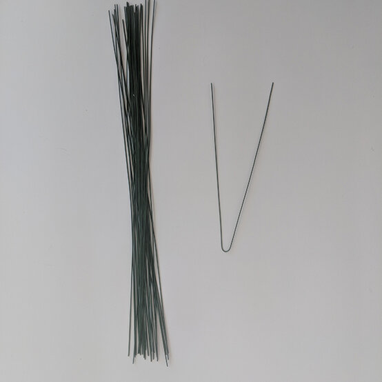 mvimg_20190521_152539.jpg?sw=554&q=85