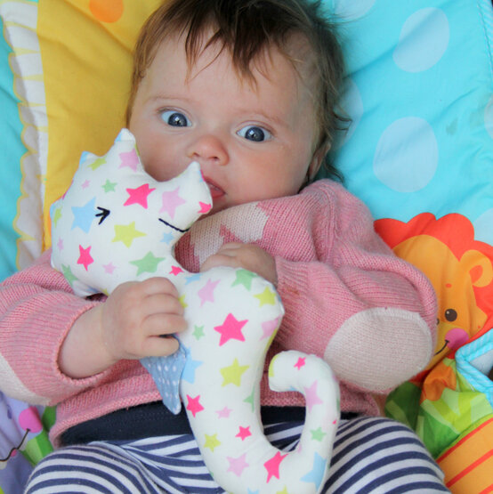 seahorse-25.jpg?sw=554&q=85