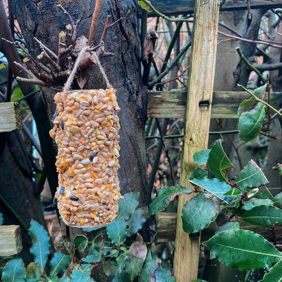 how_to_make_a_bird_feeder_final-shot-outside.jpg?sw=554&q=85