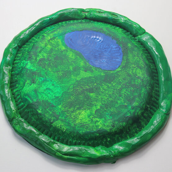 fairy-garden4.jpg?sw=554&q=85