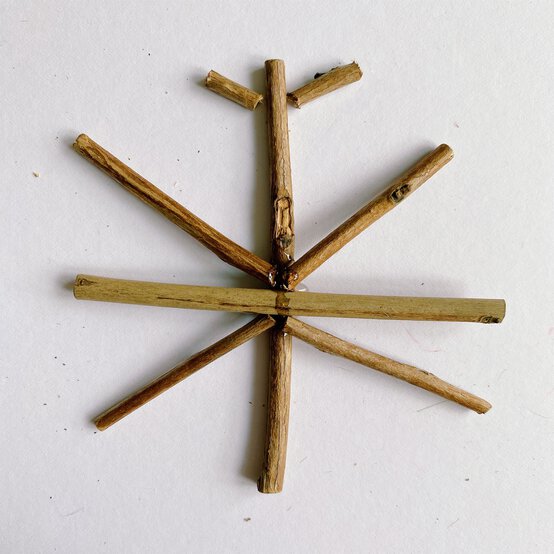 how_to_make_natural_decorations_step_2b.jpg?sw=554&q=85