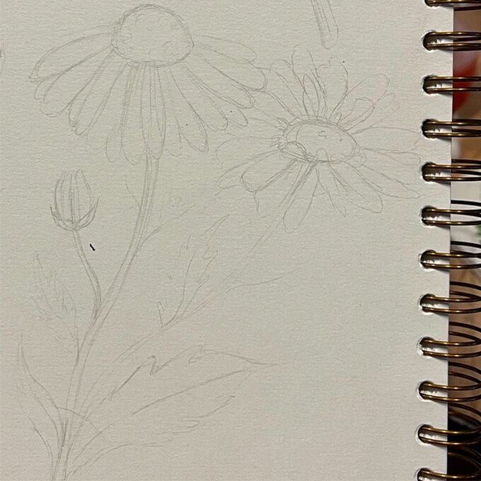idea_how-to-draw-botanical-illustrations_step4.jpg?sw=680&q=85